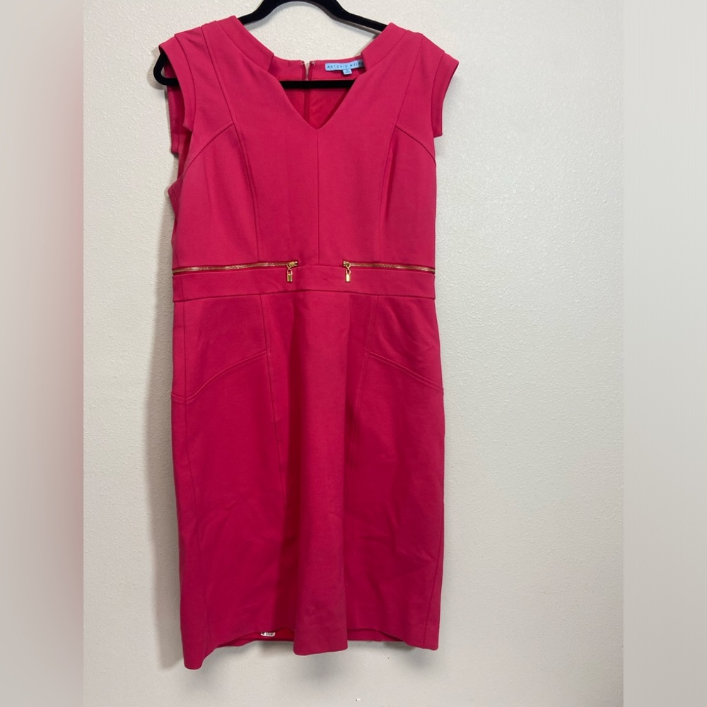 Antonio Melani, bright pink dress, size 12, with pockets